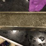 C78074D2-5AC9-47D0-8C1C-A0AB23D2E520.jpeg