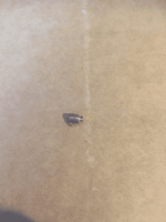 1619679567954.png