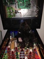IMG_1543.JPG IMG_1543.JPG