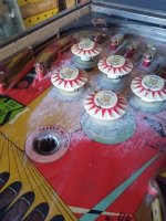 IMG_20210613_162807786.jpg