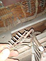 IMG_20210616_090601579.jpg