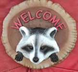 racoon.jpg