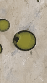 41016C5C-AA98-40F4-8CE5-80D62A8277A1.png 41016C5C-AA98-40F4-8CE5-80D62A8277A1.png