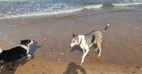 beach.jpg