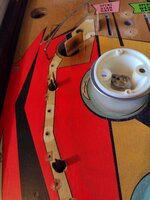 IMG_20210730_130116364.jpg