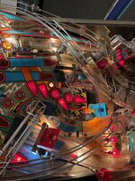 IMG_2725.jpg