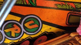 IMG_20210817_154847.jpg