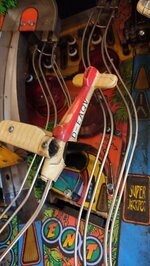 IMG_20210817_100814.jpg