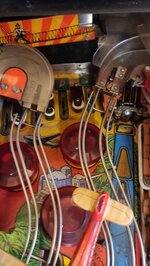 IMG_20210817_100811.jpg