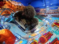 IMG_20210909_113051.jpg
