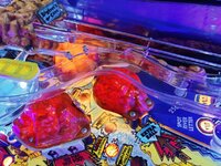IMG_20210909_113059.jpg