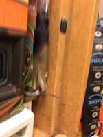IMG_0392.JPEG IMG_0392.JPEG