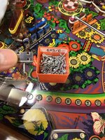 IMG_0427.JPEG