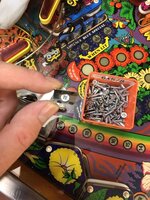 IMG_0428.JPEG
