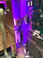 IMG_0434.JPEG