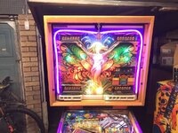 IMG_0437.JPEG