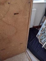 IMG_20210921_141534675.jpg