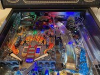 IMG_6953.JPG