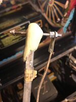 IMG_0534.JPEG