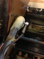 IMG_0541.JPEG