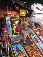 IMGP4347.JPG