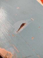 IMG_20211023_092336279.jpg