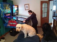 IMG_20210517_080227040.jpg