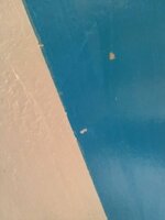 IMG_20211026_104935445.jpg
