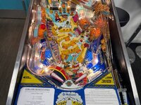 IMG_3334.jpg IMG_3334.jpg