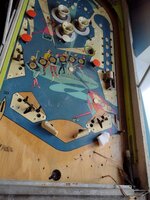 IMG_20211121_132804045.jpg