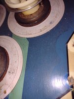 IMG_20211128_122816895.jpg