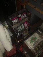 IMG_20211130_110313.jpg