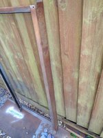 IMG_20211204_093801149.jpg