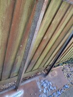 IMG_20211204_093806804.jpg
