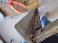 IMG_20211204_093125078.jpg