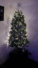 2524E41A-69C4-4F0C-9F66-A0828715F9BC.gif
