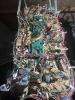 IMG_4039.jpeg
