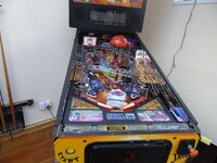 DSC00591.JPG