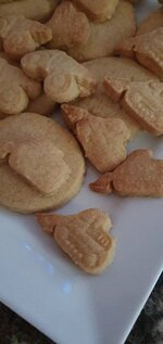 20220129_115533.jpg