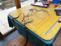 DSC00596.JPG