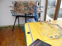 DSC00597.JPG