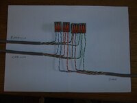 DSC00603.JPG