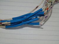 DSC00608.JPG