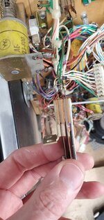 20220208_135555.jpg