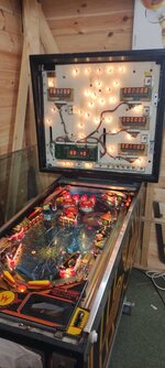 IMG_20220211_180646.jpg