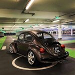 beetle rear.jpg