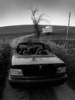 DSC_0528.jpg