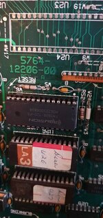 20220331_121119.jpg