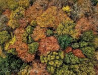 58D78854-72B0-4862-9BDC-355F42AC19D1.jpeg