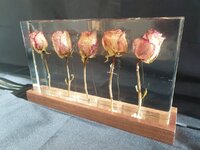 20201122_124614.jpg